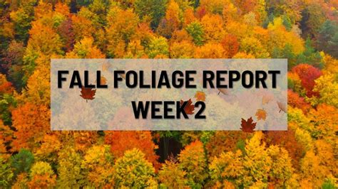 Fall Foliage Report Week 2 News10 Abc