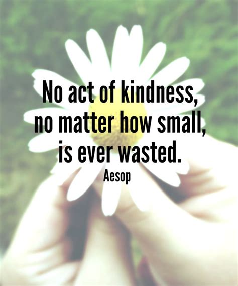 Quote 331 No Act Of Kindness No Matter How Small Is Ever Wasted
