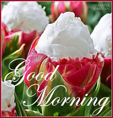 Good morning red flowers for her. Good Morning Beautiful Flowers Pictures, Photos, and ...