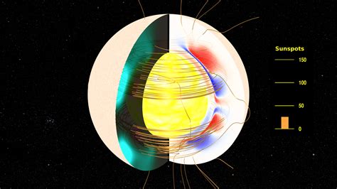 Svs The Solar Dynamo Toroidal And Poloidal Magnetic Fields