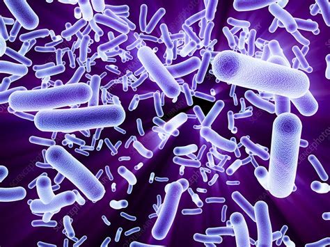Bacteria Artwork Stock Image F0116522 Science Photo Library