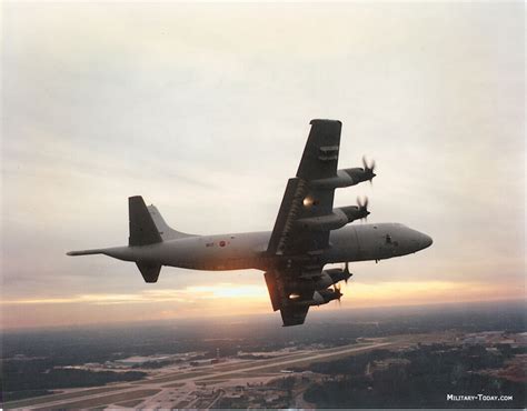 Lockheed P 3 Orion Images