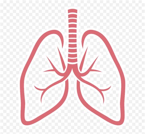 Transparent Background Human Lungs Clipart Pulmones Png Emoji Lung