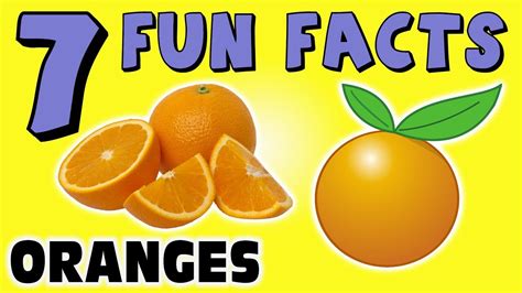 I'd love to get to know you a bit better! 7 FUN FACTS ABOUT ORANGES! ORANGE FACTS FOR KIDS! Learning ...