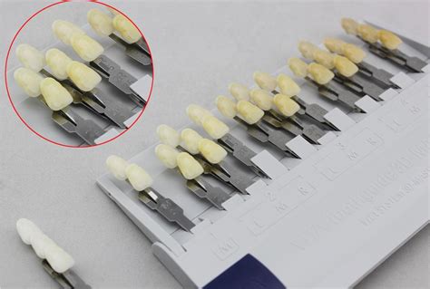The system's materials are biocompatible and esthetic. China Vita Toothguide 3D-Master / Shade Guide of 29 Color - China Vita Shade Guide, Vita Tooth ...