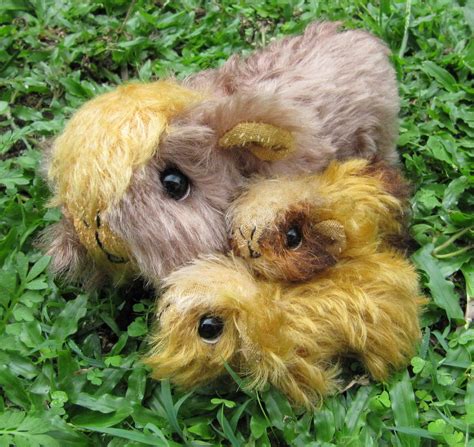 All Things Guinea Pig Toy Piggies