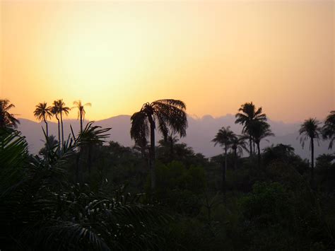 Contemplate The Rich Landscape Of Sierra Leone This Beautiful
