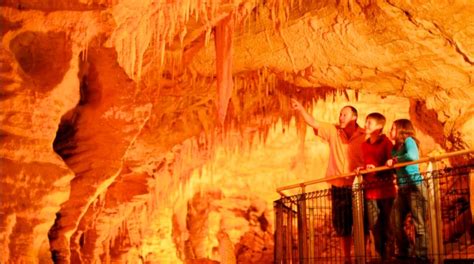 10 Top Things To Do In Waitomo Caves November 2022 Expedia