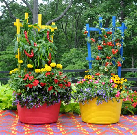 Peppers And Tomatoes Are Underplanted With Flowers In These Colorful