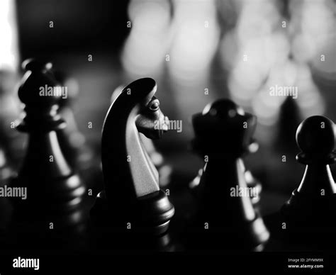 Grayscale Shot Of Chess Pieces On A Chessboard Stock Photo Alamy