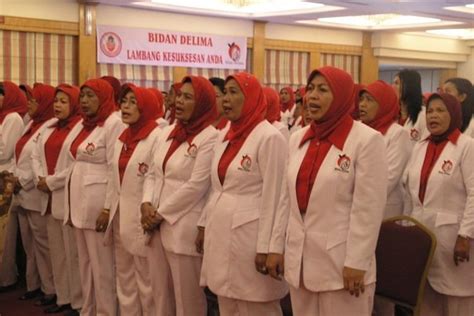 healthcare in indonesia alchetron the free social encyclopedia