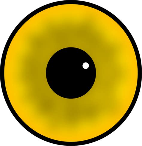 Yellow Human Eye Iris And Pupil Vector Image Public Domain Vectors