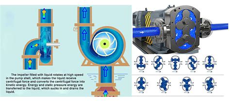 Rotary Lobe Pumps Vs Centrifugal Pumps Which Is Right For Your Process