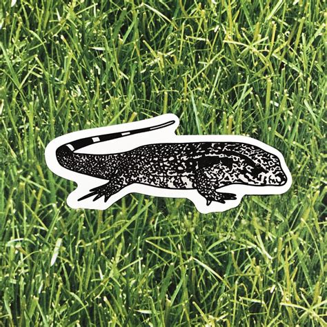 6pc Lizard Sticker Pack Tegu Stickers Day Gecko Tokay Etsy
