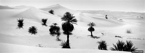 Black And White Desert Photo Facebook Cover
