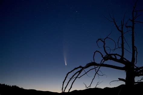 Best Way To See Comet Neowise In The Night Sky Los Angeles Times