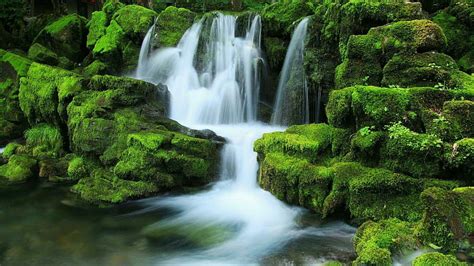 Of Stream During Daytime Hd Mobile Wallpaper Peakpx