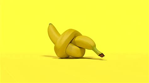 Bananas une série de GIFs amusants interrogeant la nature humaine