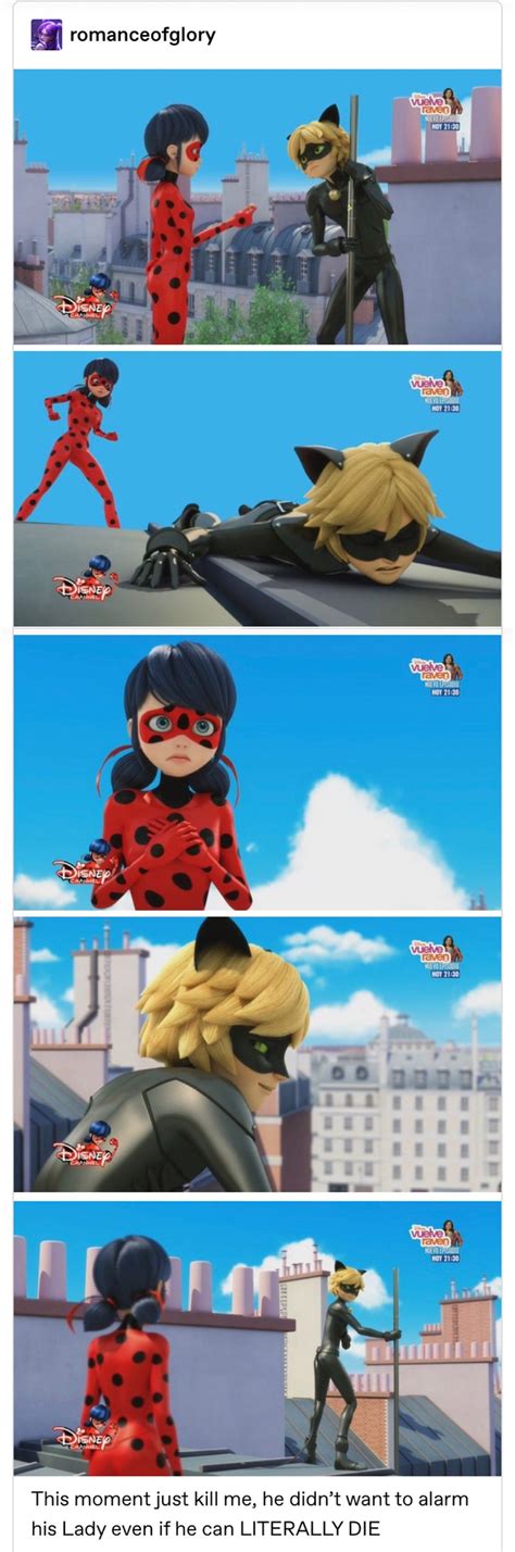 Ladybug E Catnoir Ladybug Und Cat Noir Ladybug Comics Lady Bug Les Miraculous Miraculous