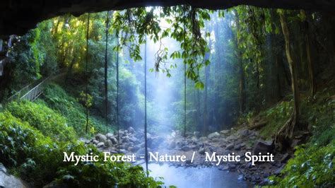 Mystic Forest Nature Mystic Spirit Youtube