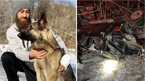 ‘guardian Angel Dog Saves Owner By Running To Get Help After Truck