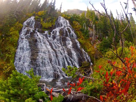 Why Experience Fall In Olympic National Park The Outdoor Society