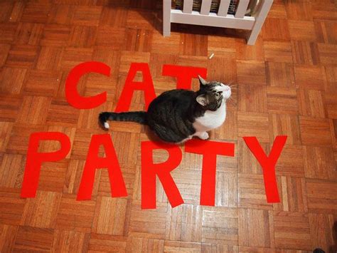 Cat Party Cat Party Cats Craft Party