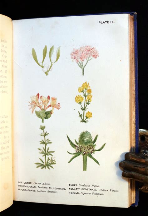 1880 Rare Floriography Book ~ The Language Of Flowers By Robert Tyas