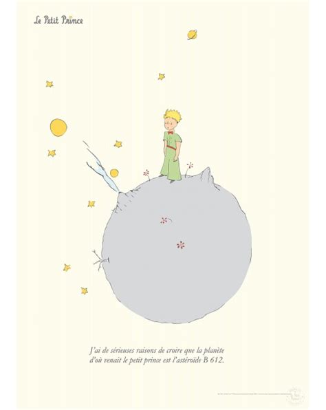 Affiche Le Petit Prince X B612 60x80cm