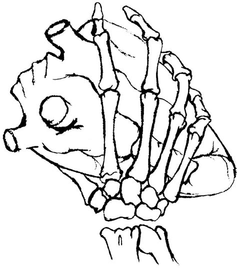 Download a free preview or high quality adobe illustrator ai, eps, pdf and high resolution jpeg versions. Pix For > Skeleton Hands Praying Drawings | Skeleton hands ...
