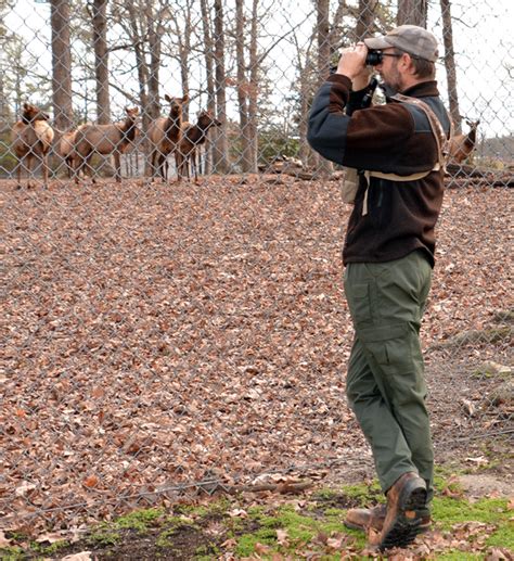 Department of inland fisheries & wildlife. Bellwood Elk get a visit from the Virginia Department of ...
