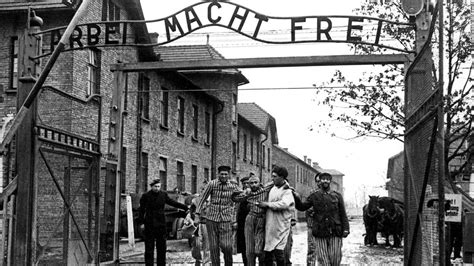 Auschwitz Museum Theft Teen Boys Sentenced