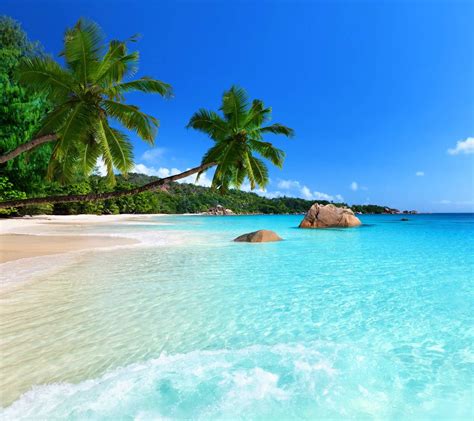 Tropical Beach Wallpaper By S Download On Zedge™ 7000