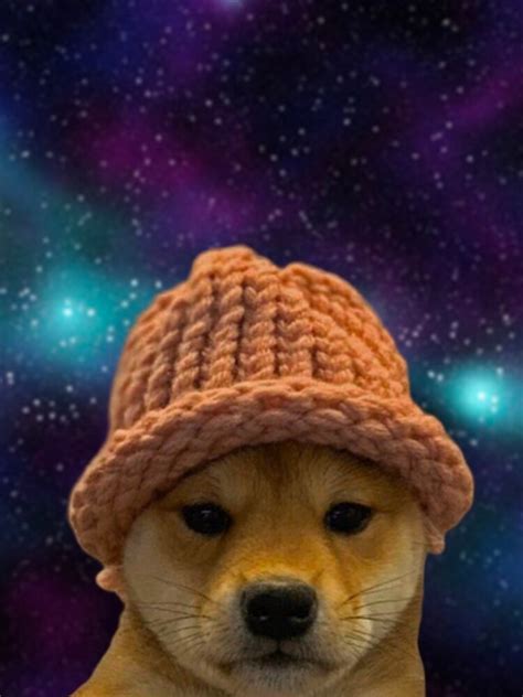 Dogwifhat In Space Iphone Case And Cover By Sataprosenttia Redbubble