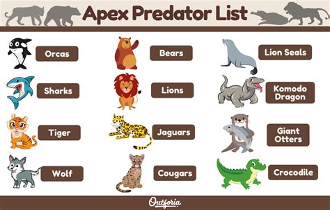 Apex Predator List The Top 12 Predators At The Top Of The Food Chain