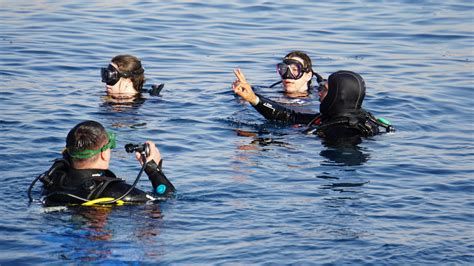 Curs Naui Divemaster Marine Explorers Dive Center