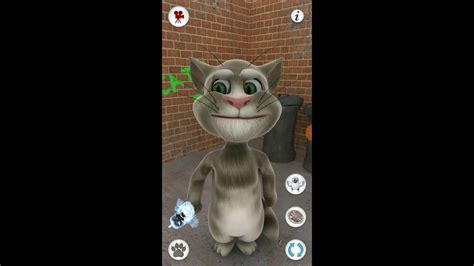 Talking Tom Cat 2010 Gameplay Youtube