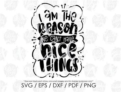 Im The Reason We Cant Have Nice Things Svg Cute Etsy