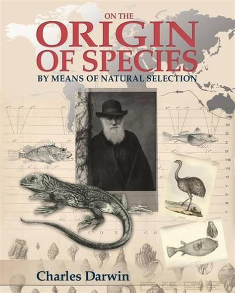 On The Origin Of Species By Charles Darwin Hardcover 9781848588790