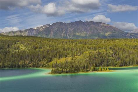 Canada Yukon Emerald Lake North Of Carcross Premium Photographic
