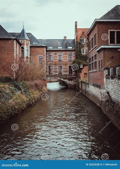 Vertical Shot Of Of The Dyle River And Buildings In Leuven Belgium