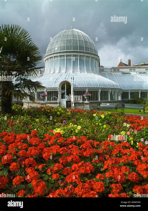 Palm House Botanic Gardens Belfast Northern Ireland Stock Photo Alamy