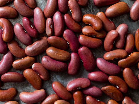 Microbial inoculants also known as soil inoculants or bioinoculants are agricultural amendments that use beneficial rhizosphericic or endophytic microbes to promote plant health. The meaning and symbolism of the word - «Bean»