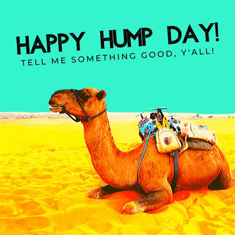 Bonus Happy Hump Day Tell Me Something Good Yall 03252020 Eager