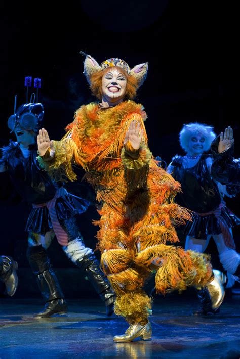 The North East Theatre Guide Preview Cats At Sunderland