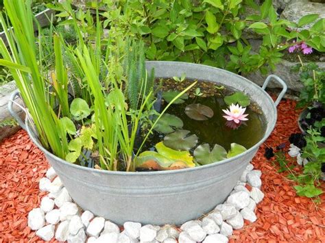 For a container water garden about the size of a half whiskey barrel (or for every square yard of water surface), you will need: 86 best Galvanized Tub Water Gardens images by Container ...