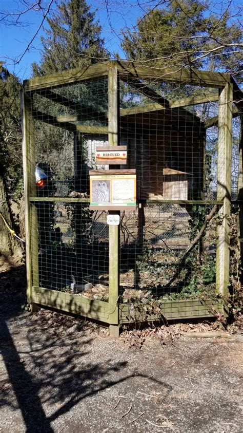 Plumpton Park Zoo Barred Owl Zoochat