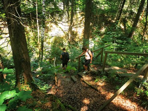 Check spelling or type a new query. Wandern mit Hund: Über die Ilkahöhe zur Waldschmidtschlucht