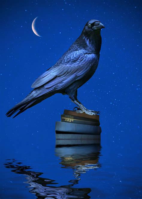 Raven Floating Books Moon Poster By Stephanie Laird Displate