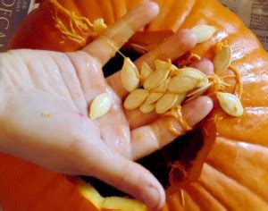Check spelling or type a new query. How to Make Delicious Roasted Pumpkin Seeds